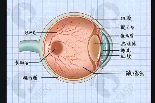 牡丹江爱尔眼科医院 ICL 零损角膜特点