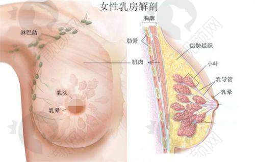成都高新春天医疗美容院口碑好不好？
