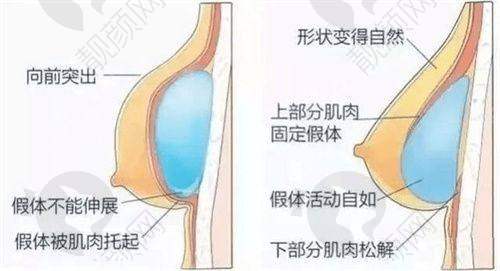 一、广元医而美美华整形门诊部怎么样？