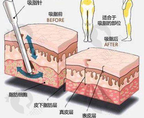 三家医院的综合优势与口碑评价