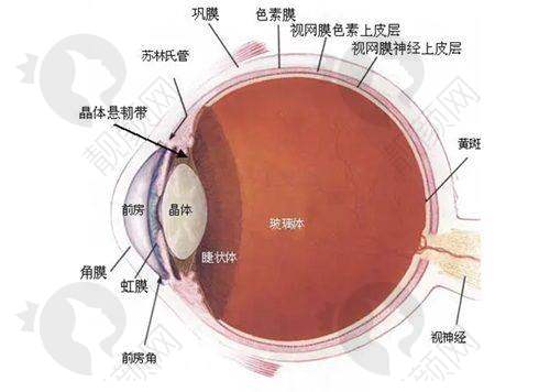 六、成都中医 大银海眼科医院价格表：（仅供参考）
