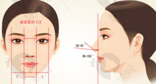 太平洋深海珊瑚制成的珊瑚骨：与周围组织的良好连接
