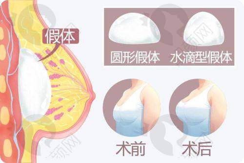 穆大力医生预约方式