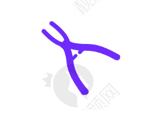 五、上海曙康口腔医院怎么预约：