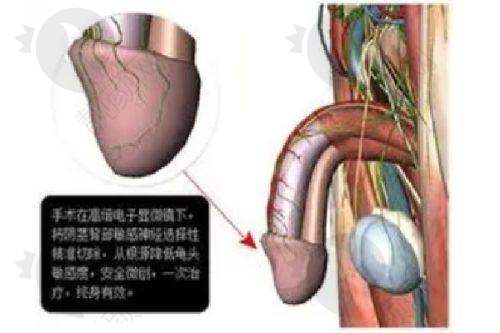 六、南京艺星医美医院实例：