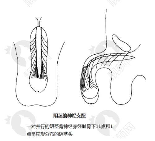 八、深圳名丽医疗美容医院的口碑评价怎么样