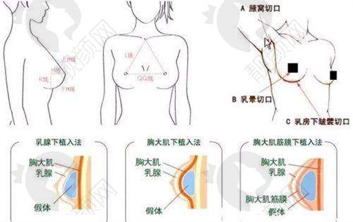 六、三亚美大夫丽格医疗美容门诊部怎么预约：