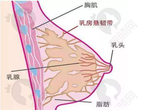 六、阜阳壹加壹医美门诊部实例：