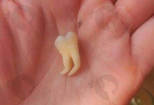 与其他口腔机构对比