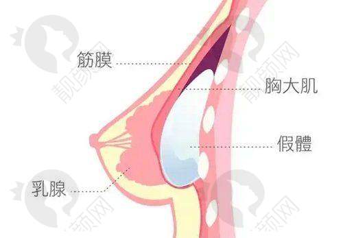 医疗美容(原北京十优):李晓东医生的PST、PSV除皱提升,成效持久