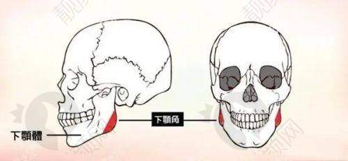 四、长沙艺星医疗美容医院医生介绍: