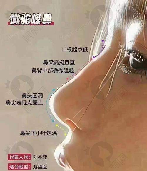上海仁爱熊俊文项目价格表参考