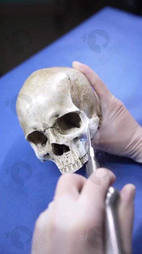 朱乐林个人资质