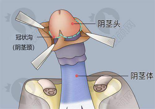 成都素美:实力强劲的医生团队