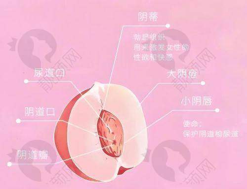 四川省人民医院：学科齐全的私密整形“骨干医生”