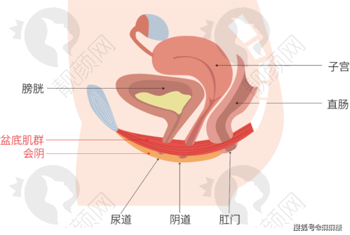 武汉紧缩针预约指南，同济医院优势多