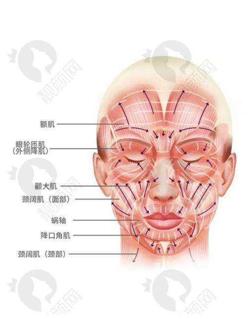 四川华 西拉皮手术价格大揭秘：多种因素影响价格
