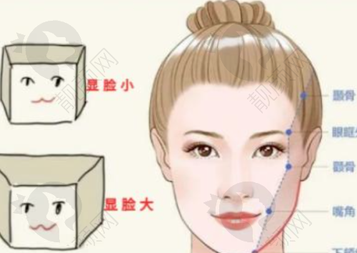 瘦脸项目