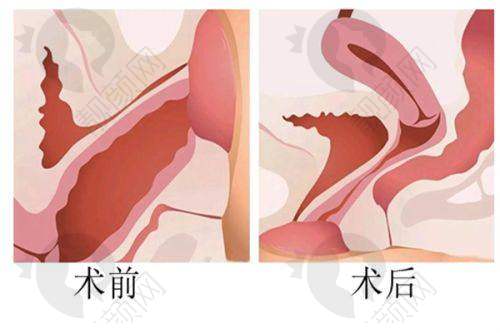 四、湘西赫美医疗美容门诊部基本信息：