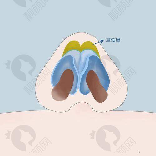 北京沃尔刘彦军项目价格表参考