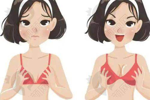 梁耀婵项目价格表参考