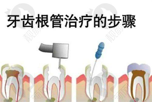 李秋红个人资料及简历