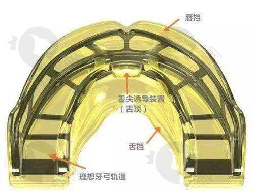 穗华口腔张涛怎么预约？
