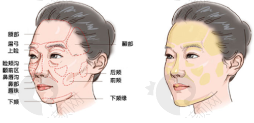 二、成都市第二人民医院医疗美容科正规吗？来看看医院资质：