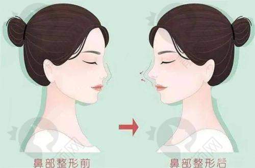顾大剑个人资料及简历
