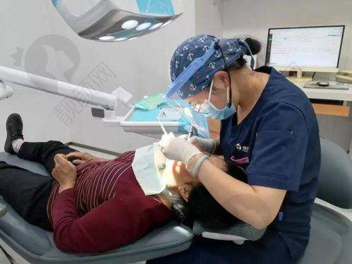 张虹项目价格表参考