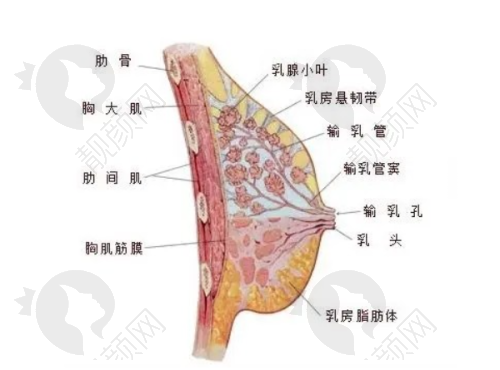 西安伊美尔医疗美容医院综合实力，值得信赖