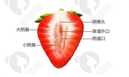武汉同济医院整形科开展项目及价格