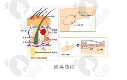 五、南昌市第一医院医疗美容科基本信息：