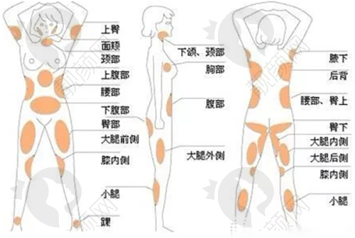 三、吉林大学第二医院医学美容科价格表：（仅供参考）