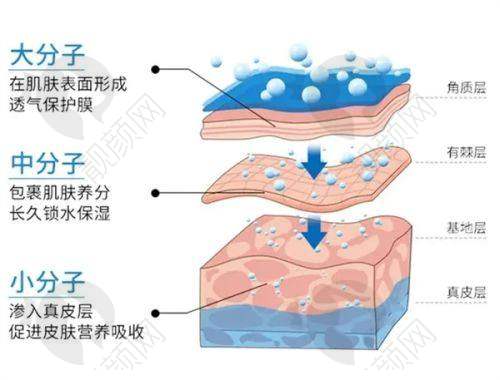 八、吉林大学第二医院医学美容科的口碑评价怎么样