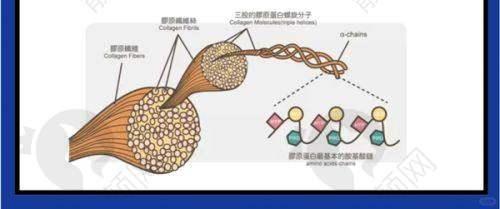 六、吉林大学第二医院医学美容科实例：