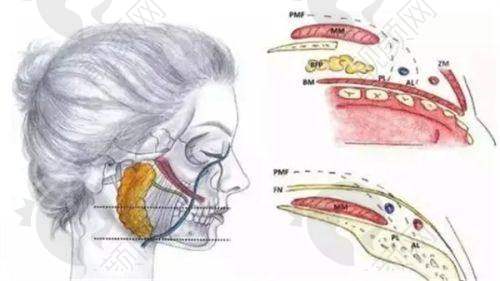 七、大庆辰美超龙医疗美容诊所怎么预约：