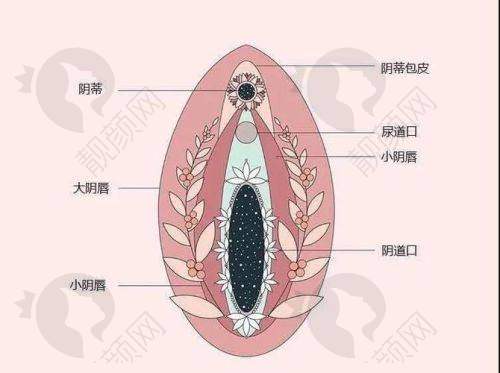 南京家和医院私密科：设备完善，项目覆盖广