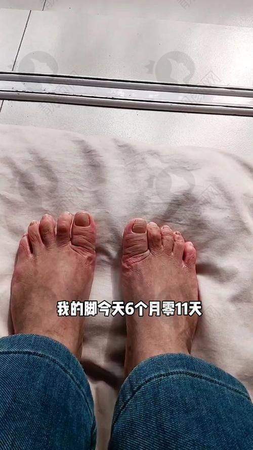 五、沈阳马文足科基本信息：