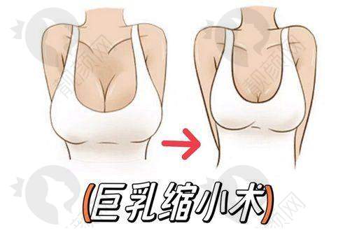 北京联合丽格第二医疗美容医院预约与前往指南