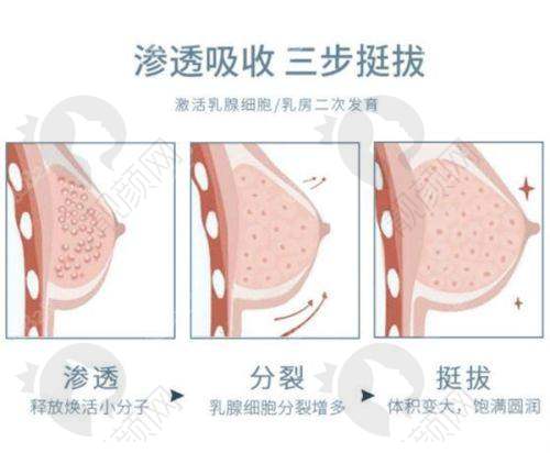 郑州科大医院私密科:医生团队