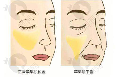 口腔美容项目