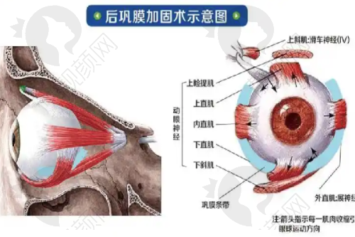 德州友谊整形医院——地理位置优越,国内外化理念开启变得更美之旅
