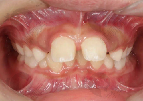 三、深圳尔睦口腔门诊部医生介绍