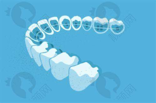 翟晓红个人资质