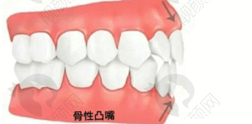 三、宁波鄞州德中口腔门诊部医生介绍: