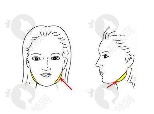 2025成都十大整容医院排名揭秘!军大、友谊等老牌机构技术口碑双在线